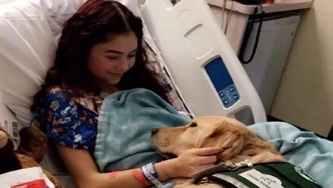 نجت من السرطان مرتين.. وماتت بحادث سيارة!