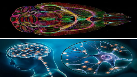 إنجاز كبير.. علماء يكشفون 