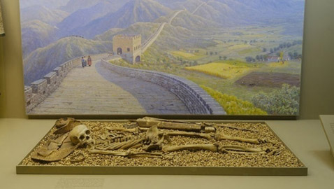 أعرق متحف في نيويورك يزيل جميع الرفات البشرية من العرض