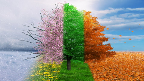 المسافة بين الأرض والشمس ليست السبب.. هكذا تتغير فصول السنة الأربعة