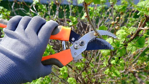 اقترب الشتاء.. جهزي حديقة منزلك الآن بهذه الطرق