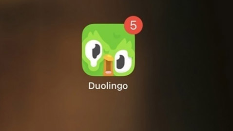 ماذا حدث مع بومة 