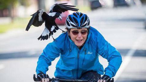 6 عادات عجيبة تبدو طبيعية جداً في بعض الدول