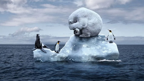 هل سينتهي العالم؟ ماذا سيحدث إن ذاب جليد القطبين ؟