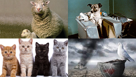 تعرفوا على حيوانات أثرت في حياة البشر بطرق غريبة