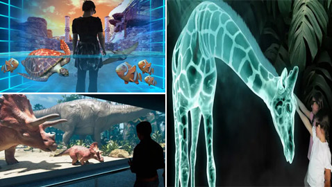 أستراليا: تجربة ثلاثية الأبعاد مدهشة في حديقة الحيوان المبتكرة