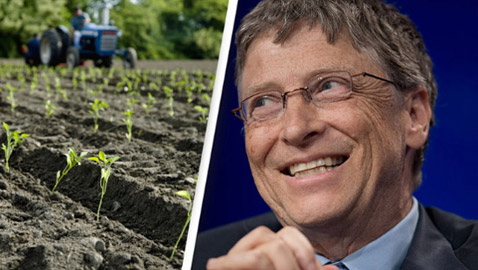 بذريعة إنقاذ الكوكب.. بيل غيتس يسيطر على الأراضي والمزارع!