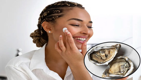 المحار.. من أعماق البحار إلى سطح البشرة.. فوائد تجميلية مذهلة