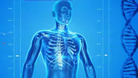 متى يأكل المخ نفسه؟.. وأغرب المعلومات عن جسم الإنسان