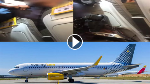 “أنا أحب الله”.. كتبها مصري باستمارة أثناء سفره من باريس، فهبطت الطائرة اضطراريا واعتقل!