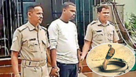 أطلقها في الغرفة.. هندي يستعين بـ أفعى كوبرا لإنهاء حياة زوجته وابنته!