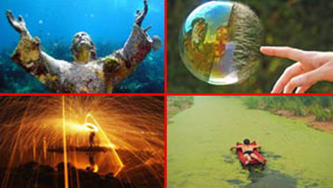 26 صورة مبهرة وساحرة للإبداع والجمال المستوحى من الطبيعة