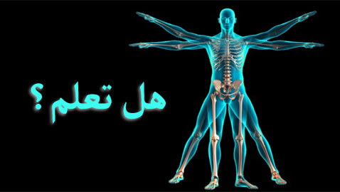 معلومات ومفاهيم خاطئة وما يقابلها من الحقيقة عن صحة الجسد