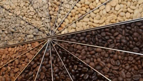 منها قهوة بصاق القرد...أغرب حبوب البن التي تُصنع منها القهوة في العالم!