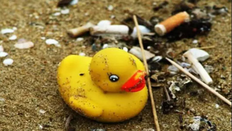 أغرب ما قذفته الأمواج إلى الشواطئ حول العالم!