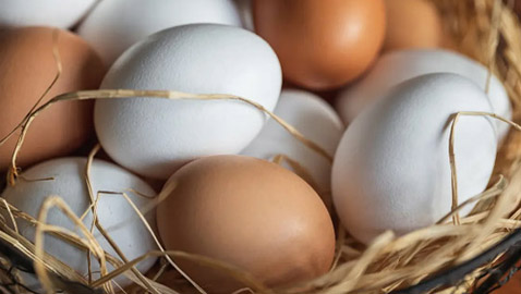 بينها البيض والبطاطا الحلوة.. أطعمة خارقة قد تحسن البصر