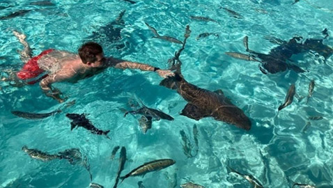 إكسوما.. جنة خاصة للصفوة والأثرياء