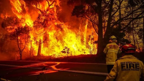 موجة شديدة الحرارة تجتاح أستراليا وتحذيرات من حرائق غابات