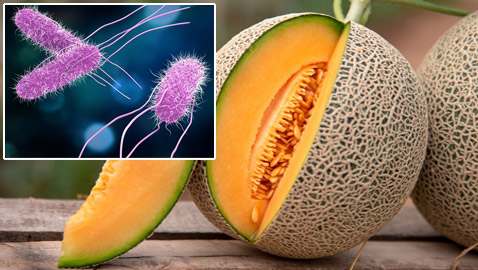 فاكهة ملوثة بعدوى السالمونيلا تقتل وتصيب المئات بأمريكا وتسبب ذعرا كبيرا!