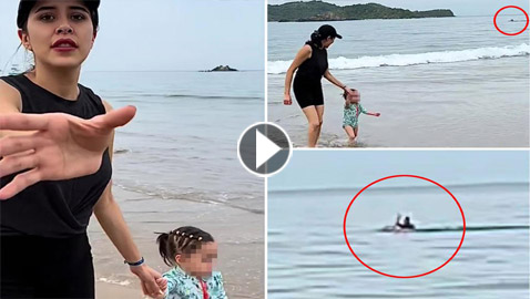 صدفة كشفت الكارثة.. فيديو يوثق رجلا هاجمه قرش وسط البحر