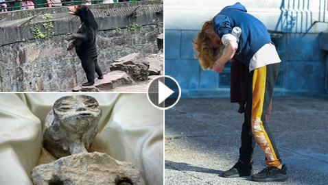 أغرب فيديوهات 2023.. زومبي ودبة بشرية وكائنات غريبة