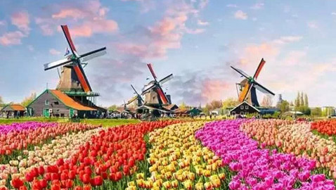 عادات الزواج في هولندا، وثقافة هذا البلد الأوروبي الجميل