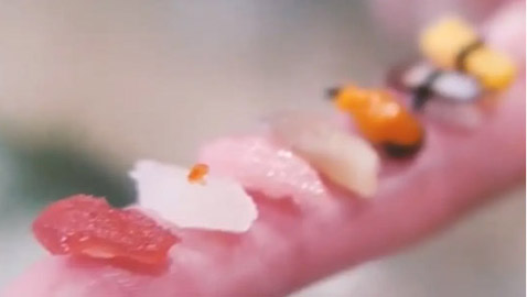 بحبة أرز واحدة.. طبق سوشي غريب يشغل اليابان