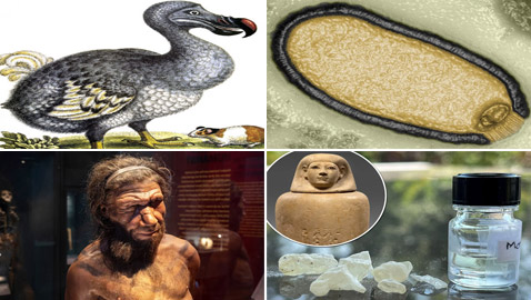 فيروس الزومبي وطائر منقرض..هكذا أعاد العلماء إحياء الماضي في 2023