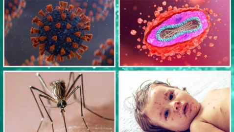 تعرف على أكبر 4 تهديدات صحية في العالم خلال 2024