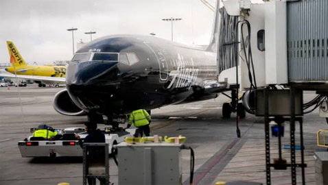 منها دب هارب في دبي.. إليكم أغرب حوادث قطاع الطيران في 2023