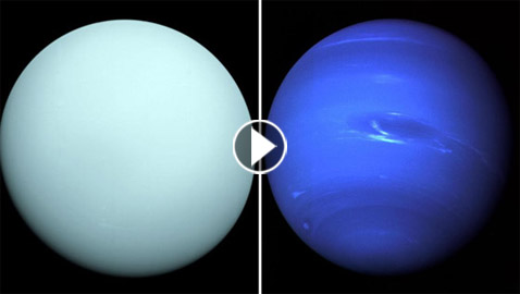 صور مذهلة.. شاهد كوكب نبتون وأورانوس بألوانهما الحقيقية