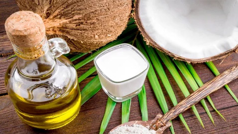زيت أم حليب جوز الهند: أيهما أفضل لشعر الصحي؟