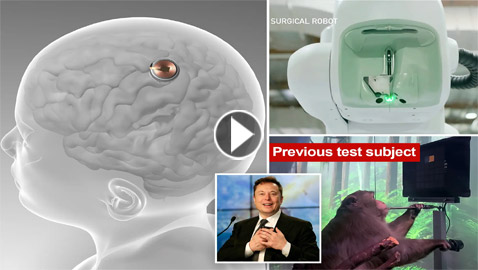 لا تصدق.. 8 طرق ستغير فيها شريحة ماسك العالم!