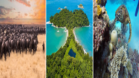 بينها 3 محميات بإفريقيا.. أفضل 9 أماكن لاستكشاف الحياة البرية حول العالم