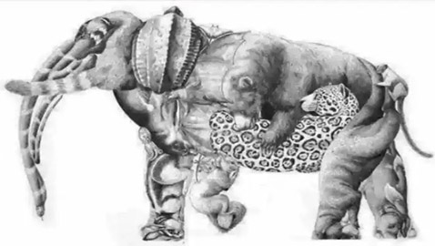 نشط عقلك وحارب ألزهايمر.. كم حيوانا تراه في الصورة؟