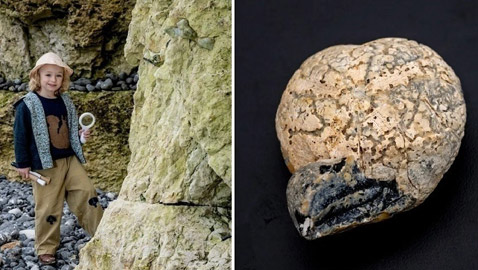 طفل مهووس بالديناصورات يعثر على حفرية نادرة