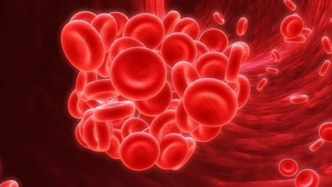 6 مصادر طبيعية لزيادة الهيموجلوبين والحديد أبرزها الفراولة