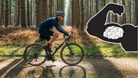 الذاكرة العضلية.. ما هي وكيف تساعد بحفاظك على لياقتك البدنية؟