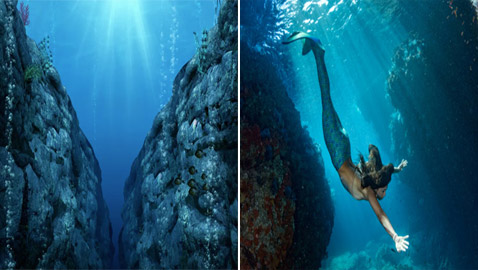 حوريات البحر.. أساطير وحقائق علمية عن البحار لم يجد العلماء لها تفسيرا