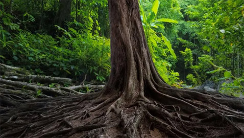 سل صيامك.. تمتلك عيون النسر إذا عثرت على الثعبان في 7 ثوان!