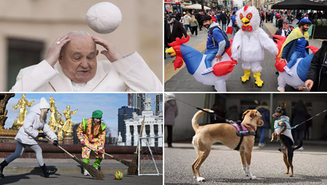 صور طريفة التقطتها عدسات الكاميرات خلال الأسبوع