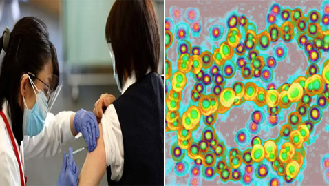 عدوى بكتيرية نادرة تتفشى باليابان.. والسلطات تكافح لتحديد سبب الانتشار