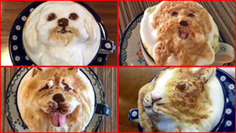 صور طريفة ومذهلة.. فنجان القهوة يحمل ملامح حيوانك الأليف في تايوان