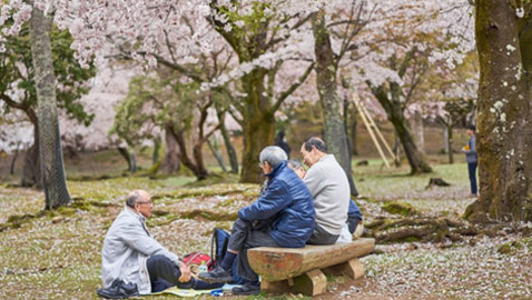 الشيخوخة تُجبر اليابانن على التوقف عن صنع حفاضات الأطفال وزيادة إنتاج حفاضات البالغين!