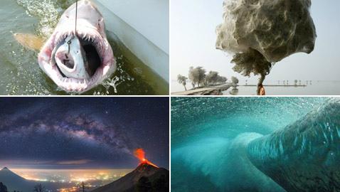 12 صورة مذهلة ومدهشة لدرجة أنها تبدو غير واقعية!