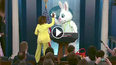بالفيديو.. أرنب يقتحم مؤتمرا صحفيا للبيت الأبيض