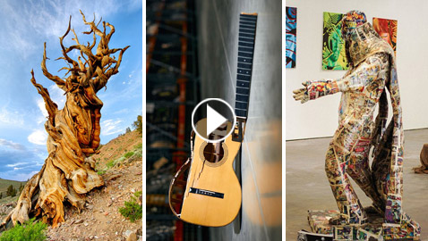 اخطاء وسلوكيات متهورة دمرت اشياء لا تقدر بثمن ونال اصحابها الشهرة!