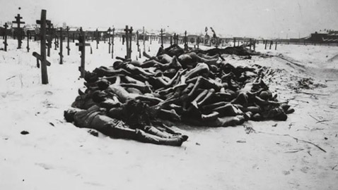 بهذا العام..أنقذت أميركا الروس من المجاعة والتيفوس