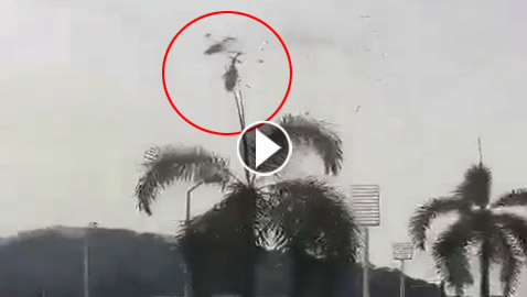 حادث بالجو: مقتل 10 باصطدام وسقوط طائرتي هليكوبتر للبحرية الماليزية