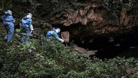 كيتوم في كينيا.. قصة كهف مرعب يُسبب وفاة زائريه!